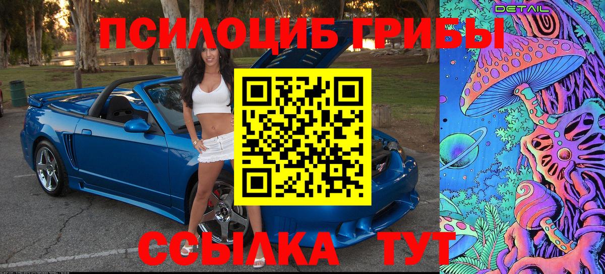 Галлюциногенные грибы GOLDEN TEACHER  купить наркоту  Горно-Алтайск  Вход с VPN 